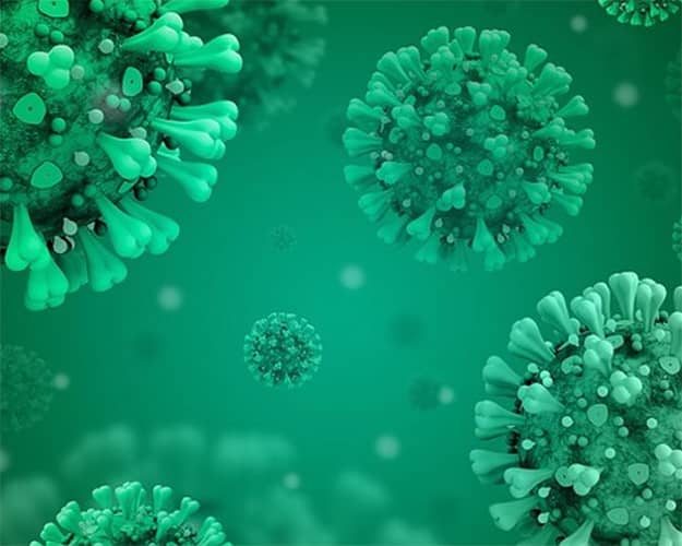 Quand une bactérie opportuniste influence la santé : le cas de Fusobacterium nucleatum