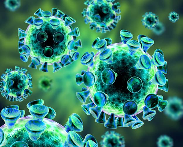 Microbiote et cancer : le rôle troublant de Fusobacterium nucleatum