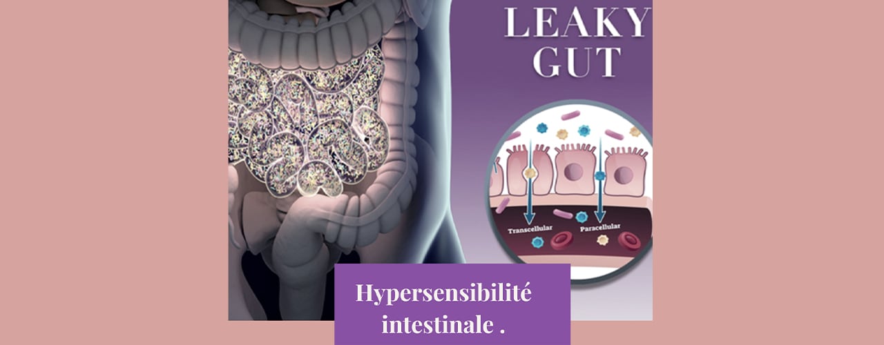 L’hyperméabilité intestinale