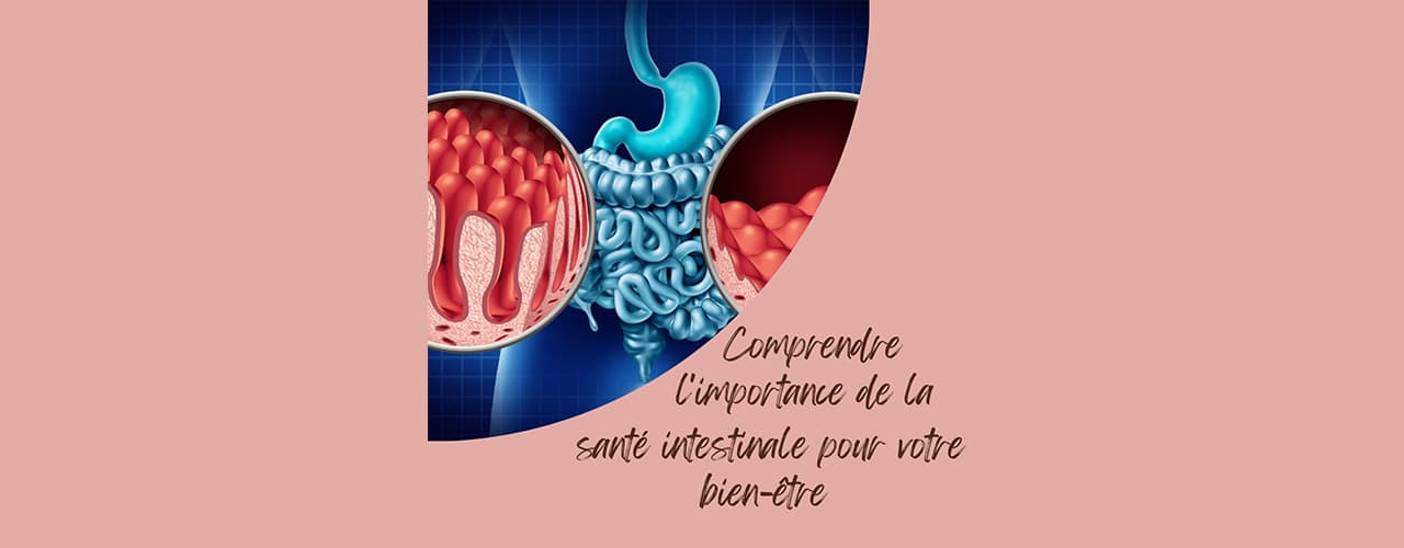 Comprendre l'importance de la santé intestinale pour votre bien-être