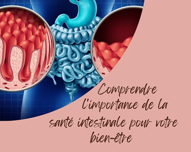 Comprendre l'importance de la santé intestinale pour votre bien-être