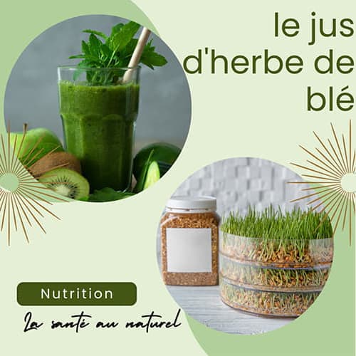 Le jus d'herbe de blé, le superaliment aux bienfaits insoupçonnés pour l'organisme