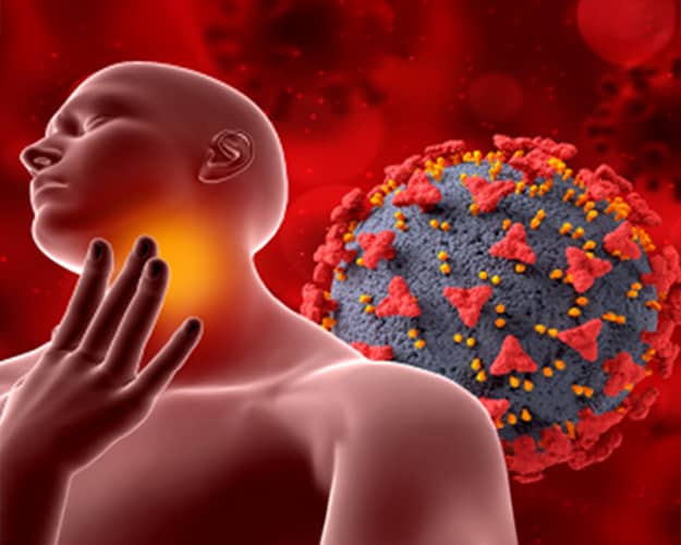 Fusobacterium nucleatum : une bactérie clé du microbiote oral